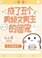 叶火火作者