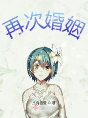 再次婚姻与他