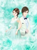 暖婚 甜宠
