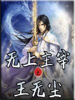 无上主宰之王无尘免费阅读