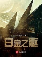 白金之石