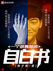 一个销售员的自自书