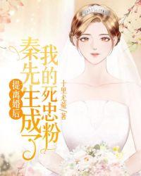 提离婚后秦先生成了我的死忠粉免费阅读