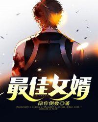 最佳女婿全文阅读免费手机版