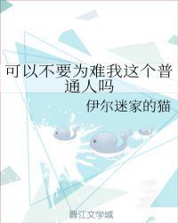 可以不要为难我这个普通人吗txt