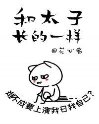和暴戾太子长得一样 gb