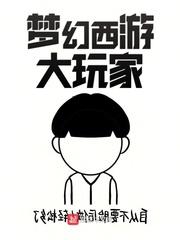 梦幻西游大玩家免费阅读