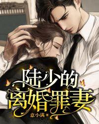陆少的罪妻宠上天