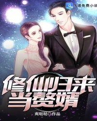 修仙归来当赘婿短剧免费观看
