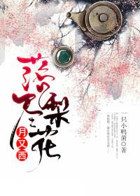 落尽梨花月又西演员表