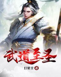 武道至圣紫天昊