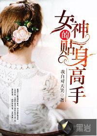 护花高手闯都市苏