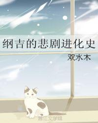 纲吉结局