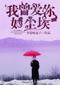我曾爱你如尘埃TXT