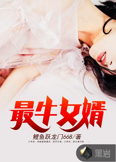 最牛女婿全文阅读