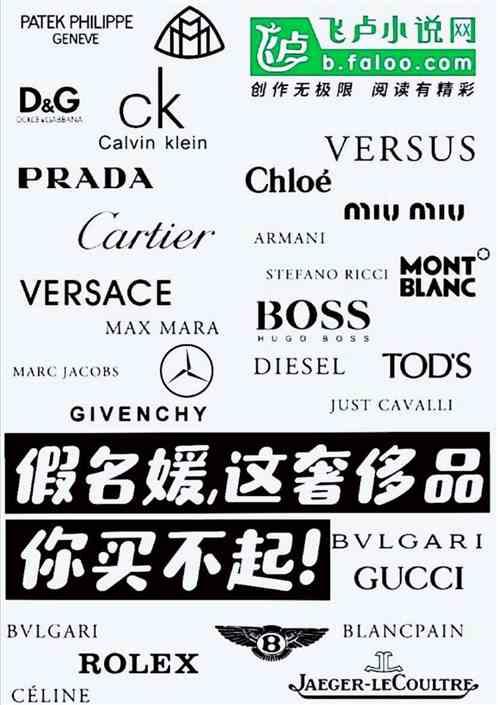 都市假名媛这奢侈品你买不起爱看书吧