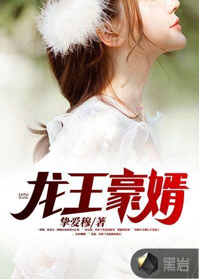 龙王豪婿王浩
