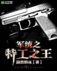 军统之特工之王完整版txt