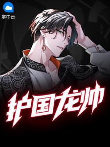 护国龙帅完整版