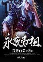 永夜君王 皓帝