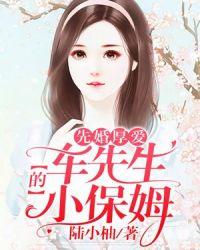 深圳市车先生服务有限公司