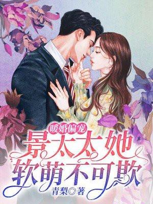暧婚蜜爱景少宠妻至上
