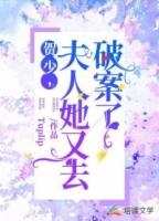 贺少宠妻超级甜全本