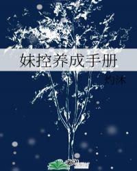 妹控养成手册 灼沐