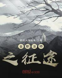 全职法师之大全