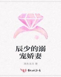 辰少的溺宠娇妻好看吗