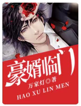 豪婿临门叶峰