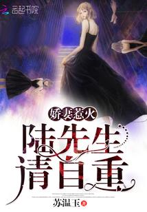 陆总追妻路太难