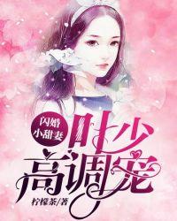 闪婚妻约叶少的暖心新娘