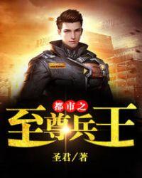 都市之至尊兵王叶星河