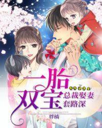 一胎双宝总裁娶妻套路深免费阅读仓鼠