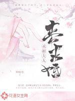 丞相大人来追妻