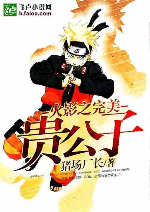 火影之完美贵公子作文