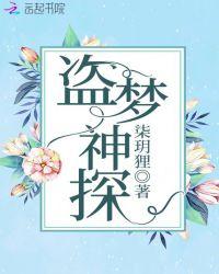 盗梦神偷