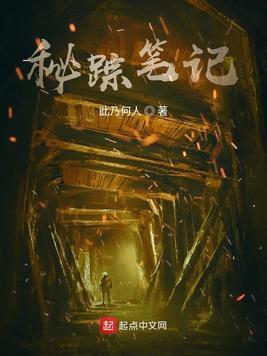 秘踪谍影txt