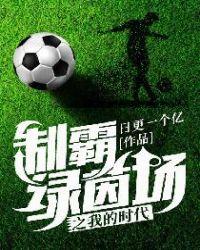 制霸绿茵场之我的时代txt