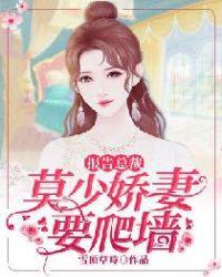 报告总裁萌妻