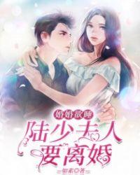 婚婚欲睡顾少夫人要离婚