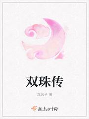双珠传免费阅读