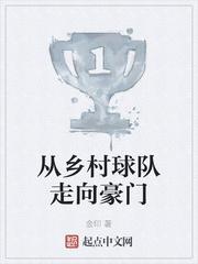 从乡村球队走向豪门txt