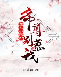 逆天小医妃无弹窗