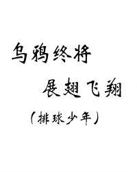 排球少年乌野战绩