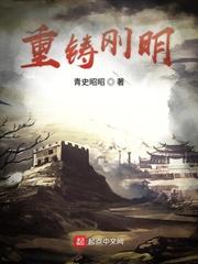 重铸刚明笔趣阁作者青史昭昭