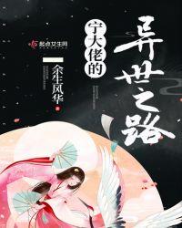 宁大佬的异世之路评论