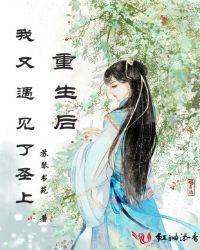 重生后我遇到了妻奴大总裁