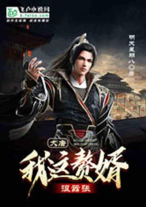 大唐赘婿在线阅读